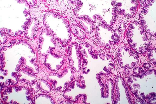 Signs It’s Time to See a Gastroenterologist for Digestive Issues