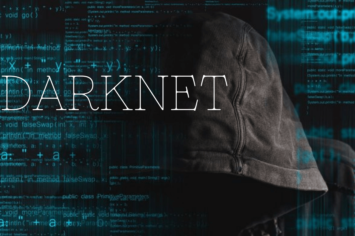 Dark Net Army and the Evolution of Cyber Networks