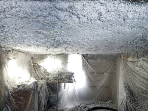 Looking for a Local Crawlspace Company Here’s What to Know