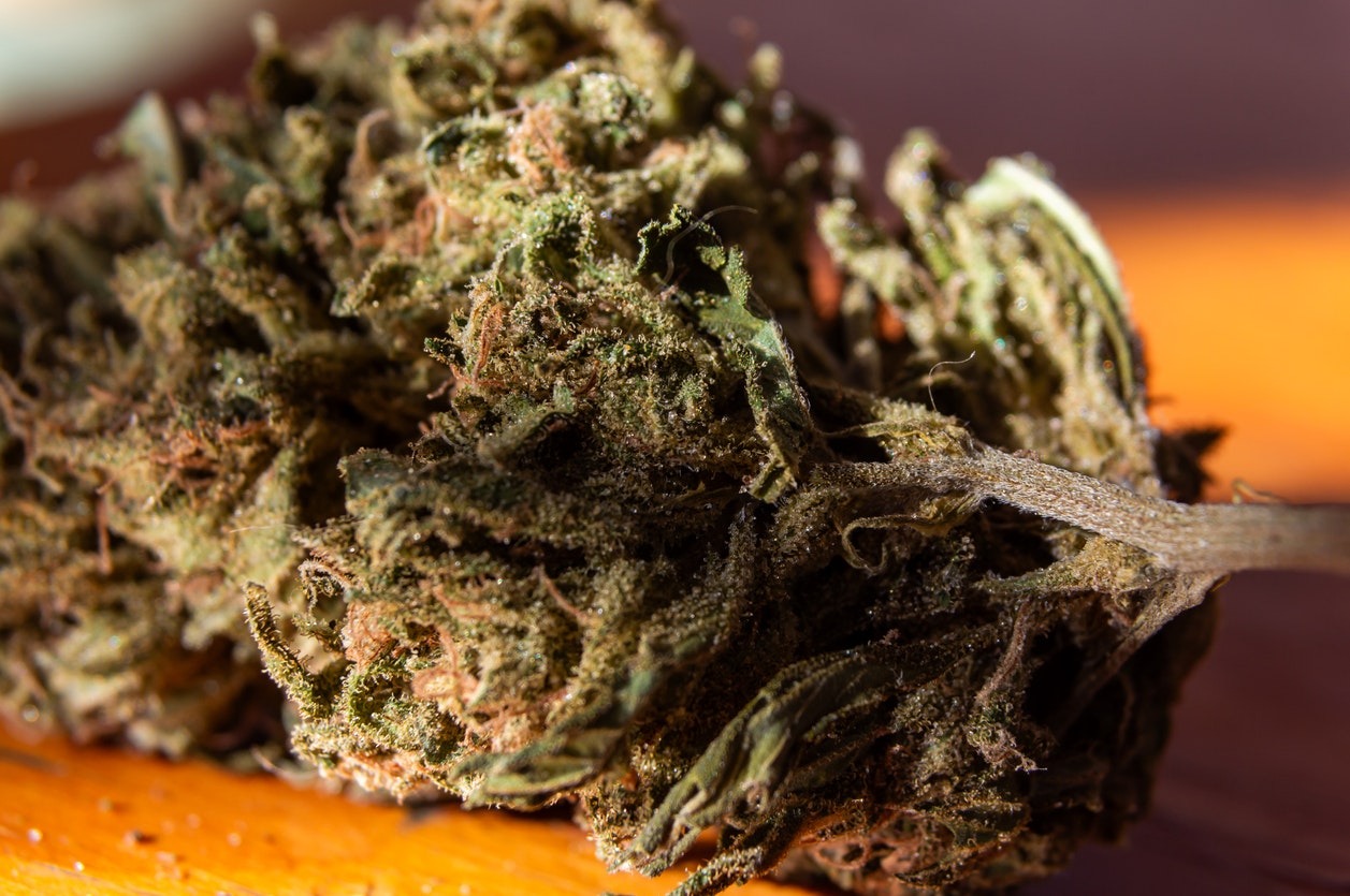 Connect With Cannabis Enthusiasts Through Wiet Forum Community Topics