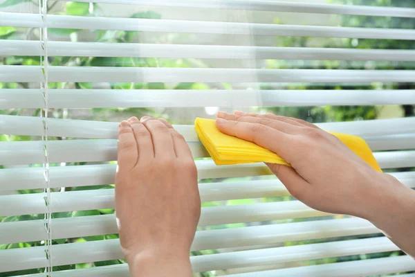 Luxury Window Shades St Petersburg with Professional Installation
