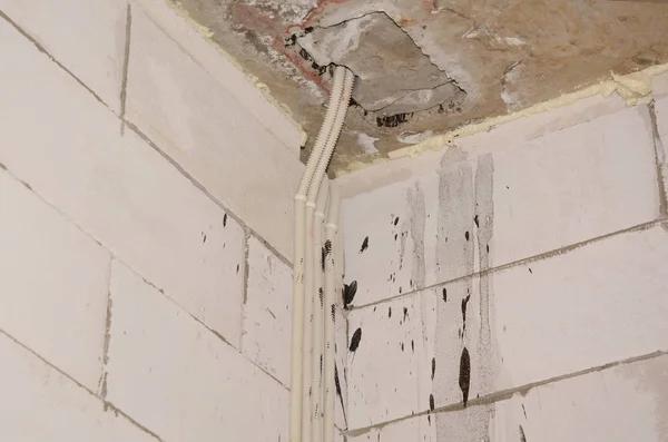 Reliable Basement Flood Prevention Ideas for Wet Weather